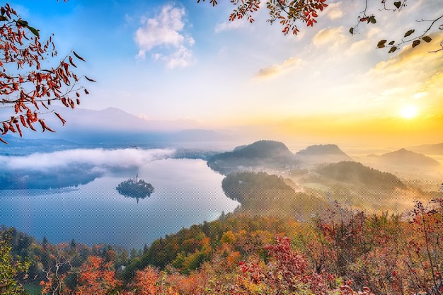 搜狗输入法学生版如何下载指南? 搜狗输入法学生版如何下载指南? 二